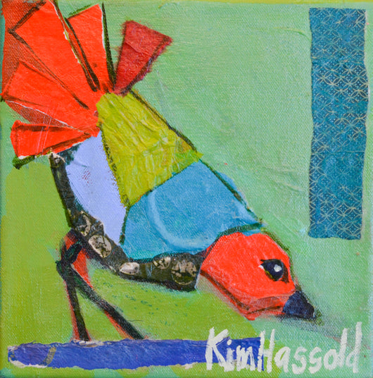 Lovebird 6 - 8x8